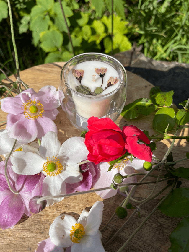 Fleurs de cerisier