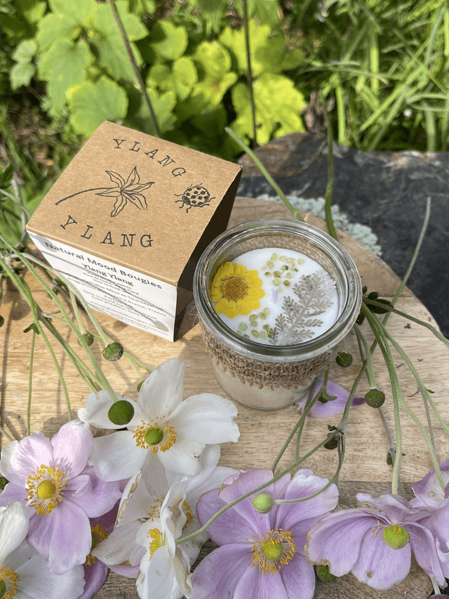 Ylang Ylang